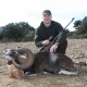 mouflon04