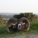 mouflon05