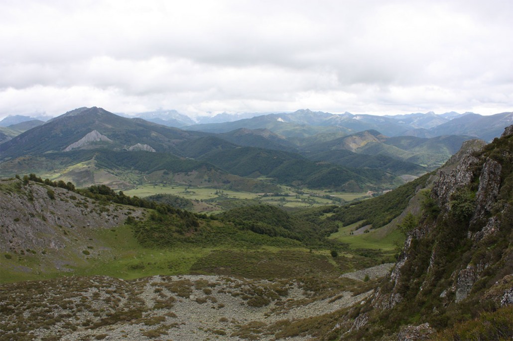 GALLERY - Spanish Ibex Hunts